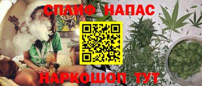 прущие грибы Кумертау