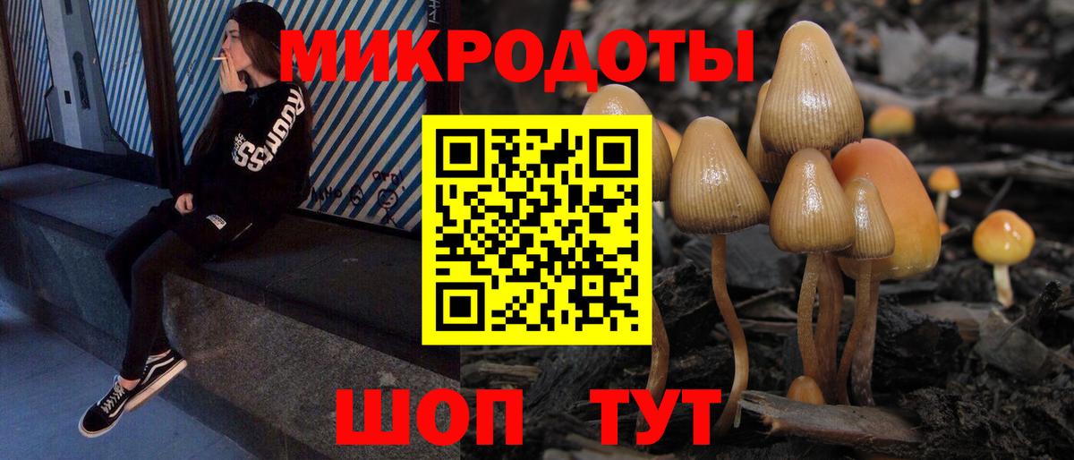 Псилоцибиновые грибы прущие грибы Гусь-Хрустальный