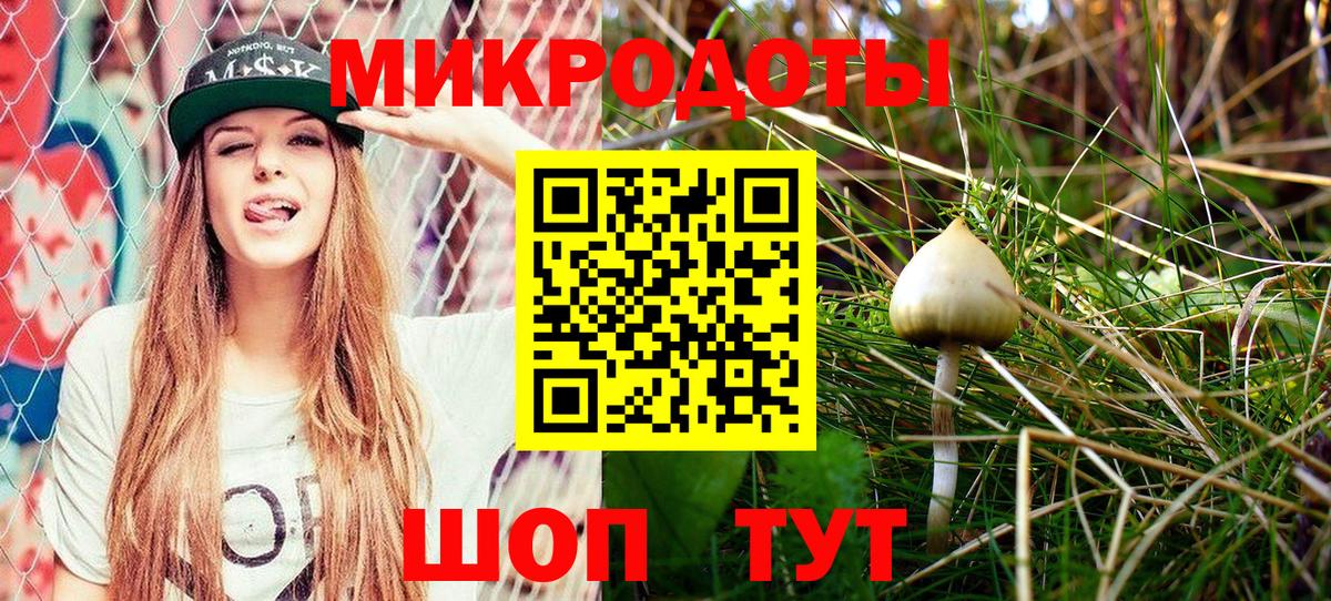 Галлюциногенные грибы Psilocybine cubensis  Вход с VPN  Гусь-Хрустальный 